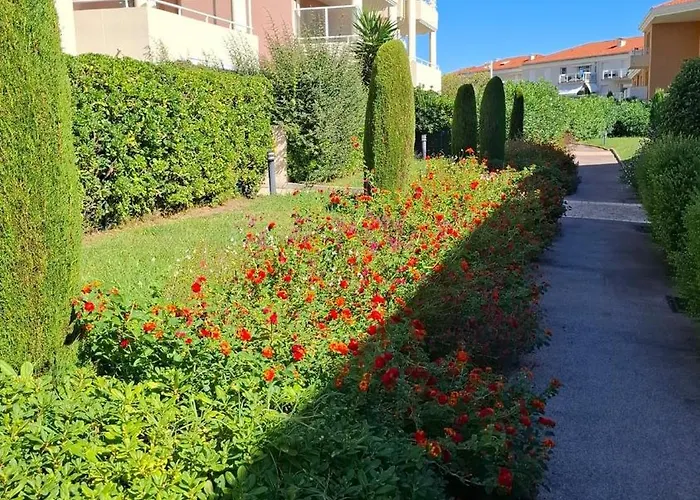 Apartment Grand Front De Climatise-piscine-parking- Juan Les Pins *